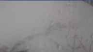 20240421_130002.jpg 