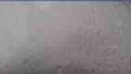 20240501_070002.jpg 