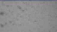 20240517_054002.jpg 