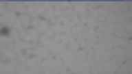 20240517_060001.jpg 