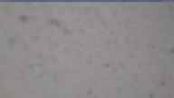 20240517_064001.jpg 