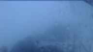 20240521_044001.jpg 