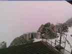 20240524_100001-1.jpg 