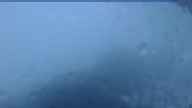 20240527_190002.jpg 