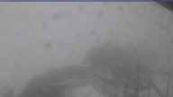 20240602_070002.jpg 