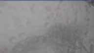 20240602_132002.jpg 