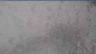 20240602_134002.jpg 