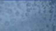 20240602_190002.jpg 