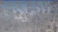 20240603_064002.jpg 