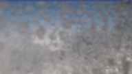 20240603_074002.jpg 