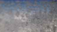 20240603_080002.jpg 