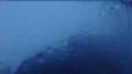 20240707_042002.jpg 