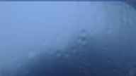 20240707_044002.jpg 