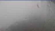 20240708_062002.jpg 