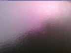 20240804_044002-1.jpg 