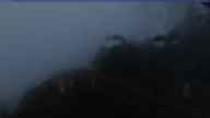 20240827_184002.jpg 