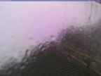 20241004_172002-1.jpg 