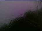 20241004_174001-1.jpg 
