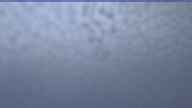 20241011_060002.jpg 