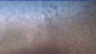 20241011_092002.jpg 