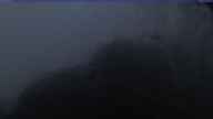 20241016_054002.jpg 