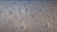 20241111_092002.jpg 