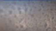20241111_094002.jpg 