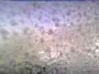 20241111_114001-1.jpg 