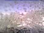 20241111_122002-1.jpg 