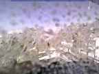 20241111_124002-1.jpg 
