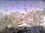 20241111_130002-1.jpg 