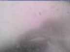 20241112_150001-1.jpg 