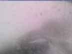 20241112_152001-1.jpg 