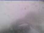 20241112_154001-1.jpg 