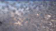 20241113_074002.jpg 