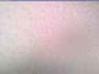 20241114_090002-1.jpg 