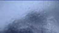20241115_062002.jpg 