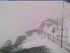 20241126_150002-1.jpg 