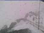 20241126_152002-1.jpg 
