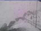 20241126_154002-1.jpg 