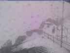 20241126_160001-1.jpg 