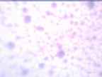 20241127_064002-1.jpg 