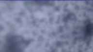 20241129_064002.jpg 