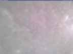 20241222_134001-1.jpg 
