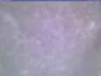 20241225_080002-1.jpg 