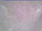 20241225_144002-1.jpg 