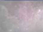 20241228_110002-1.jpg 