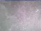 20241231_090001-1.jpg 