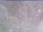 20250103_134002-1.jpg 