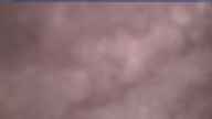 20250104_164002.jpg 